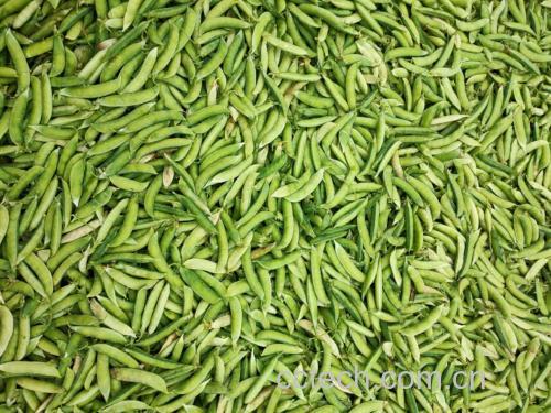 豌豆花与豌豆尖搭配的烹饪场景