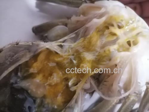 健康饮食搭配示意图