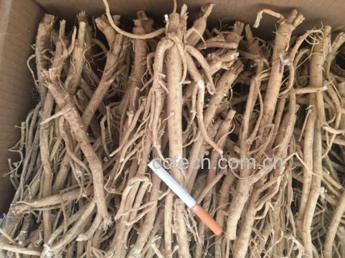 黑苦荞与黄芪干品对比图