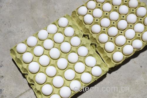炖鸡蛋制作过程图
