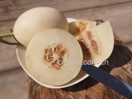 甜瓜与锅具搭配的烹饪场景