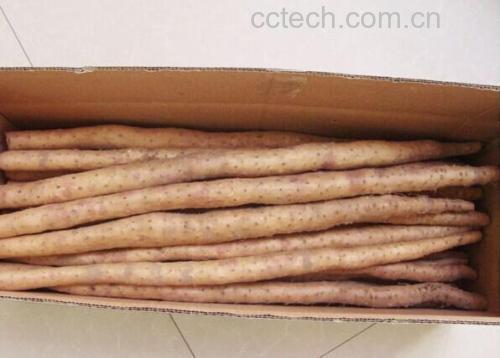 红薯与胡萝卜、山药搭配食谱示意图