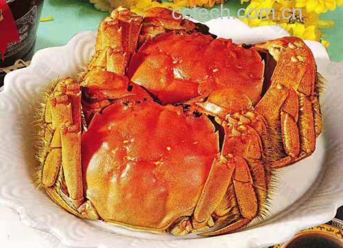 西红柿与螃蟹共食示意图