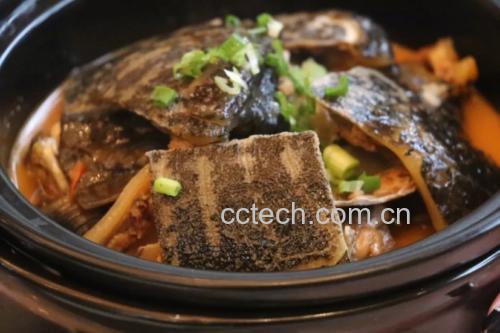 甲鱼焯水过程图