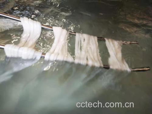 土豆丝浸泡前后对比