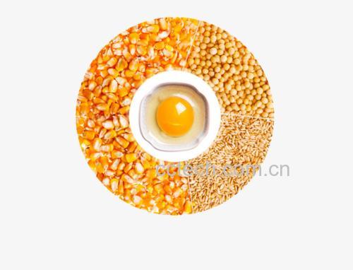 鸡蛋与谷物对比图