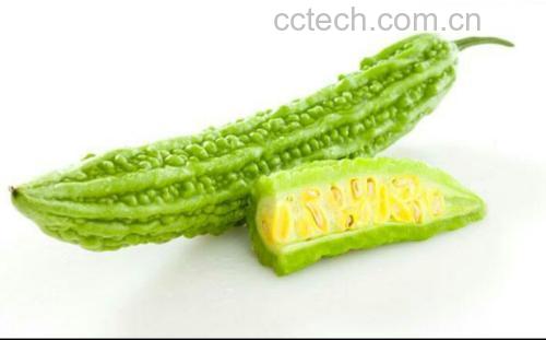 西瓜与寒凉食材对比图