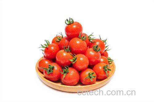 西红柿与鸡蛋原料摆放