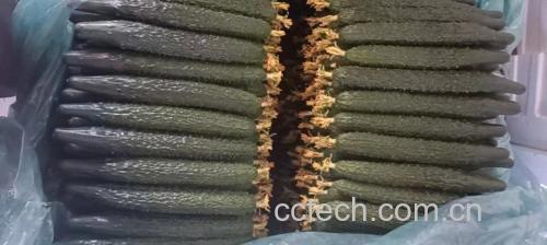 黄瓜与护肤工具组合