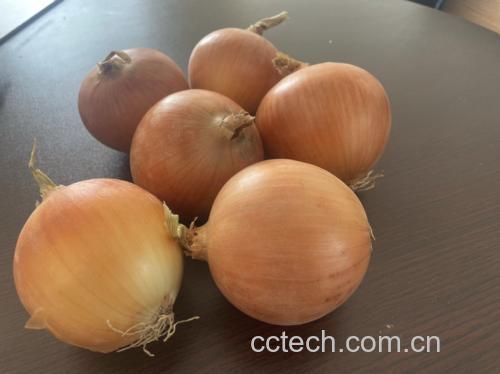 低FODMAP食材对比图