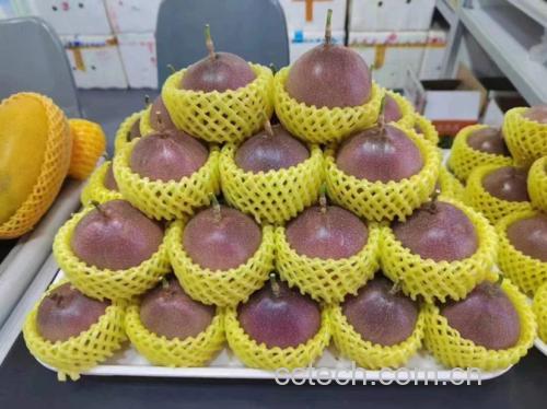 百香果果实特写
