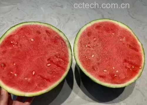 挑选优质西瓜