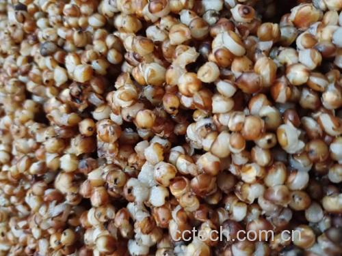 蜂糖李泡酒制作过程图
