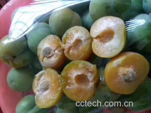 蜂糖李切面特写照片