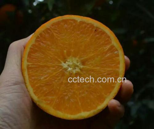 图片描述