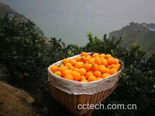 图片描述