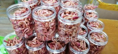 自制萝卜干腌制容器展示图