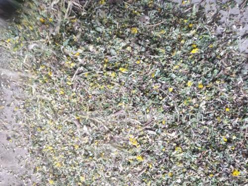 淮山药与怀牛膝的养生茶饮图