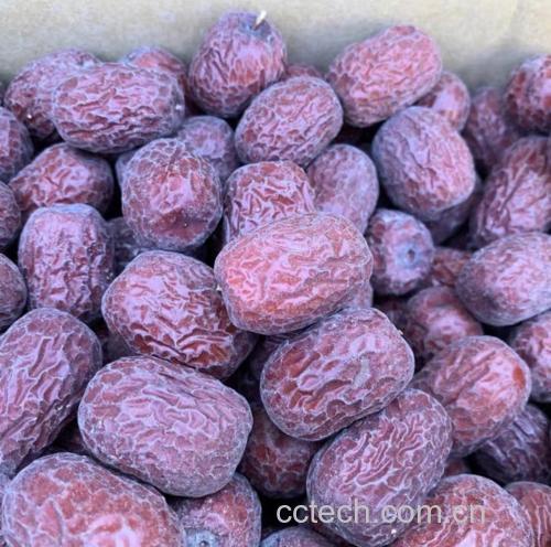 中药炮制后的侧柏果