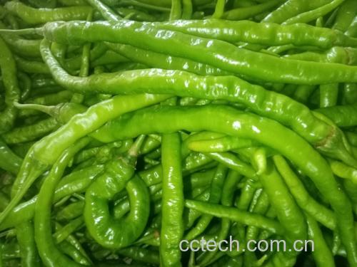 线椒与牛柳食材摆放整齐的特写照片