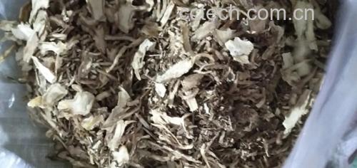 熟地黄与中药材搭配图