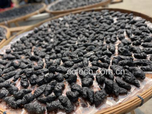 熟地黄的外观与加工过程