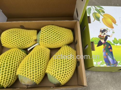 金煌芒奶昔成品图