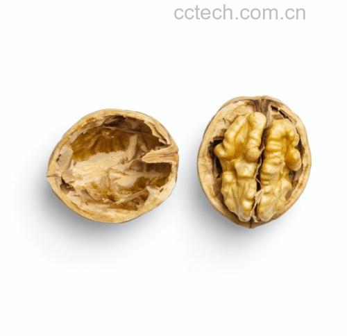 薄皮核桃特写