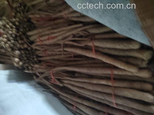 铁棍山药种植基地航拍图
