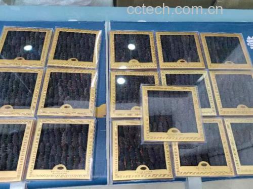 浙贝母成品展示图