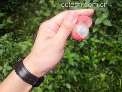 实验室研究人员正在操作仪器分析荔枝皮提取物成分的场景