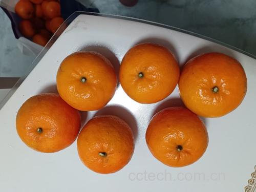 烤好的沃柑成品图
