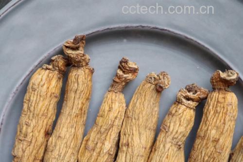 高丽参参头与其他食材搭配展示图