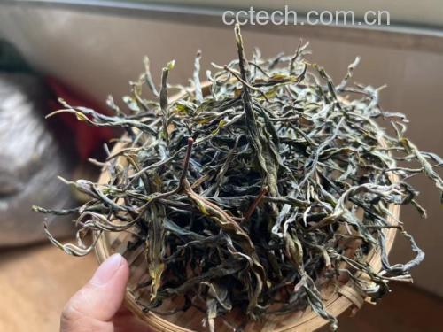 青提与普洱茶原料展示图
