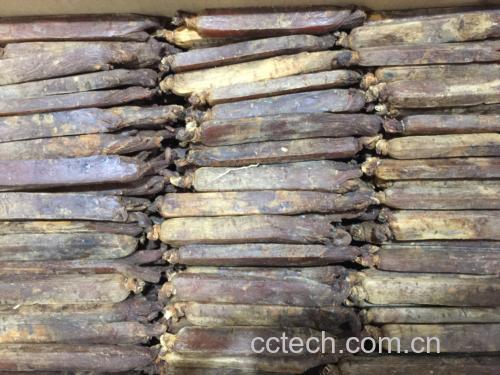 高丽参加工现场照片
