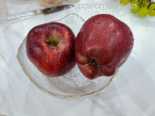 不锈钢锅中正在熬煮的花牛苹果块,糖水微沸,果肉呈半透明状,蒸汽升腾