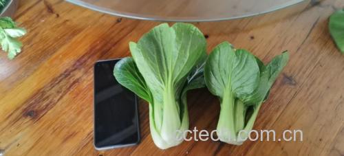 酸奶青提碗成品图