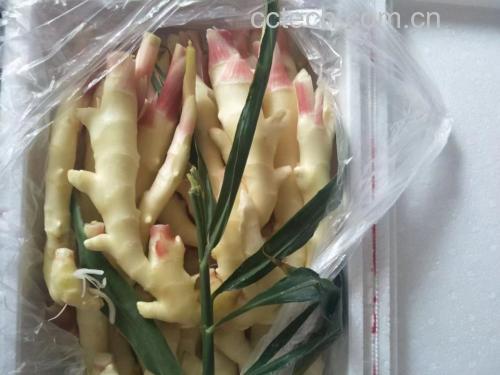 红泡姜家庭保存与食用场景图