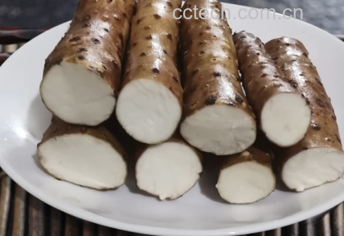 垆土铁棍山药与普通山药对比图