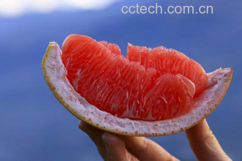 红心柚与血糖仪对比图