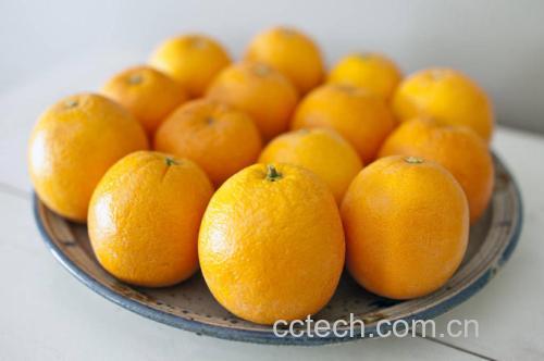 香橙皮屑特写
