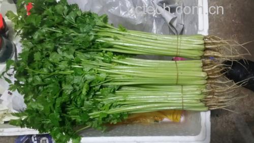 香芹与其他富碘食物对比图示