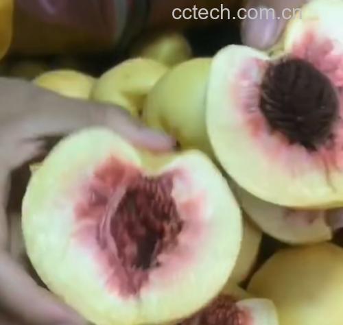 新鲜黄油桃切开剖面图