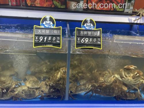大闸蟹称重对比图
