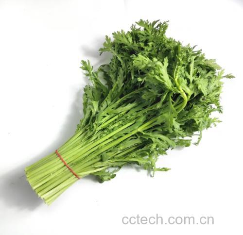 凉拌小叶茼蒿成品图