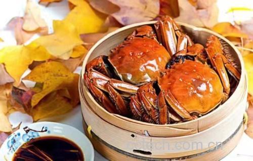 花蛤烹饪美食