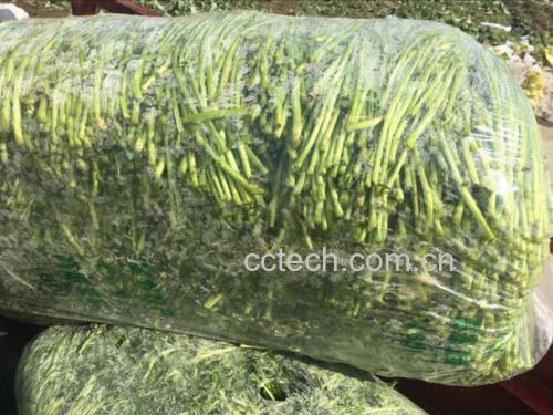 清洗干净的蒿子杆整齐码放在竹篮中