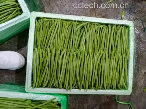 无筋豆腌制过程展示图