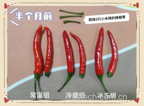 辣椒储藏方式对比图
