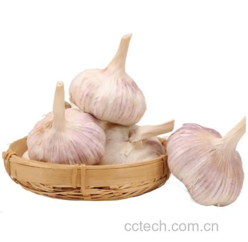搓蒜成品：蒜泥与调味料混合搅拌过程